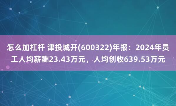 怎么加杠杆 津投城开(600322)年报：2024年员工人均薪酬23.43万元，人均创收639.53万元