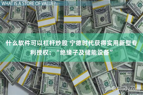 什么软件可以杠杆炒股 宁德时代获得实用新型专利授权：“绝缘子及储能设备”