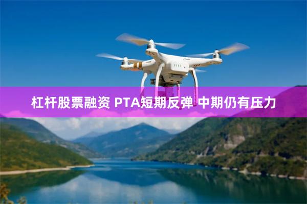 杠杆股票融资 PTA短期反弹 中期仍有压力