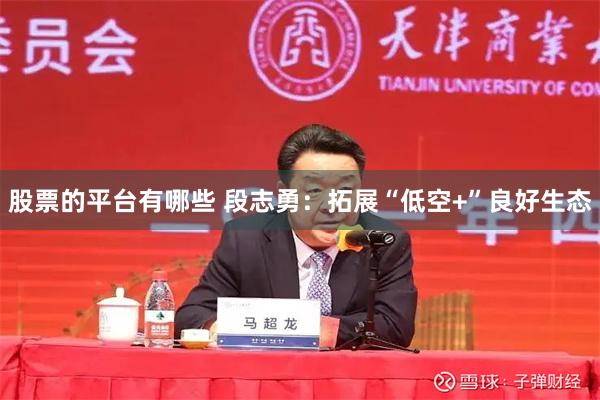 股票的平台有哪些 段志勇：拓展“低空+”良好生态