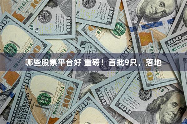 哪些股票平台好 重磅！首批9只，落地