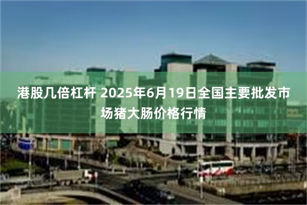 港股几倍杠杆 2025年6月19日全国主要批发市场猪大肠价格行情