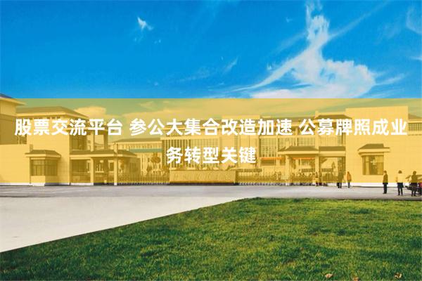 股票交流平台 参公大集合改造加速 公募牌照成业务转型关键