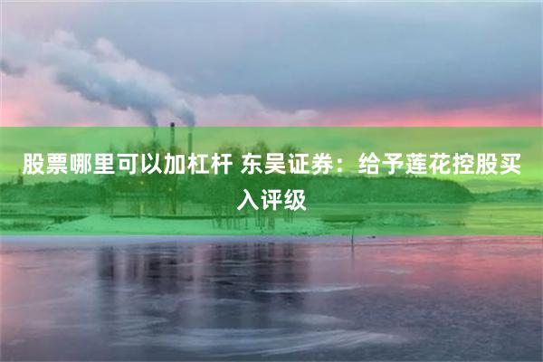 股票哪里可以加杠杆 东吴证券：给予莲花控股买入评级
